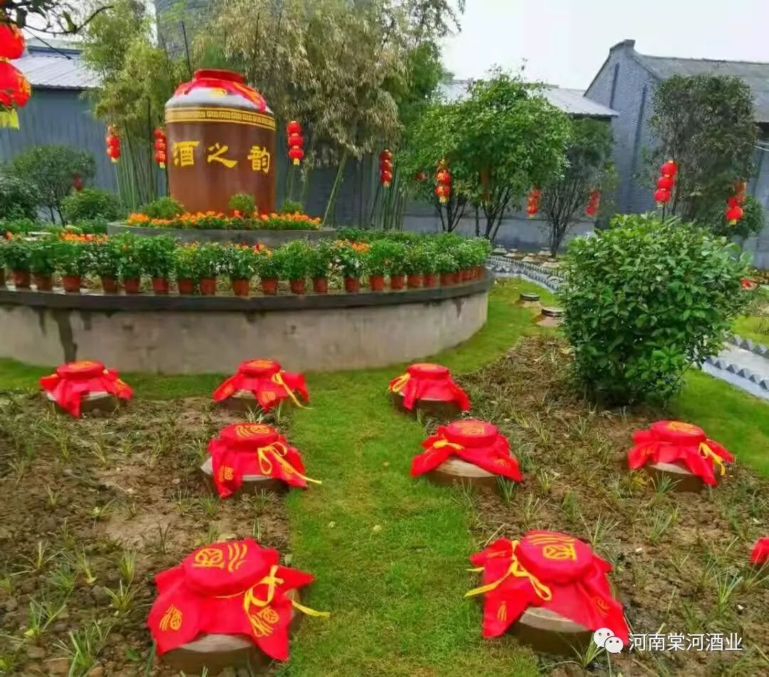 中国·首届棠溪特色文化节暨棠河植酒节成功举办
